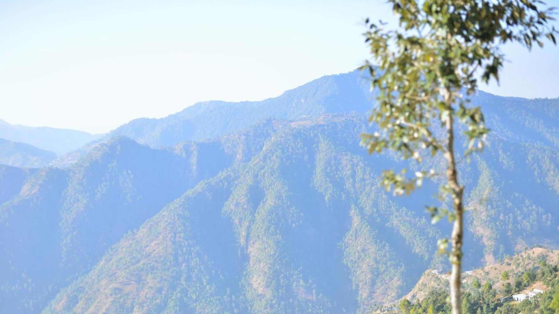 Haut Monde King'S Paradise Resort Kanatal Exterior photo